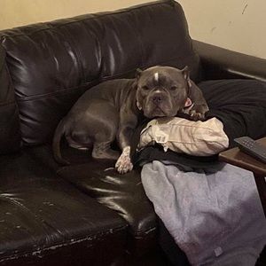 Meet your Posher, Bryan